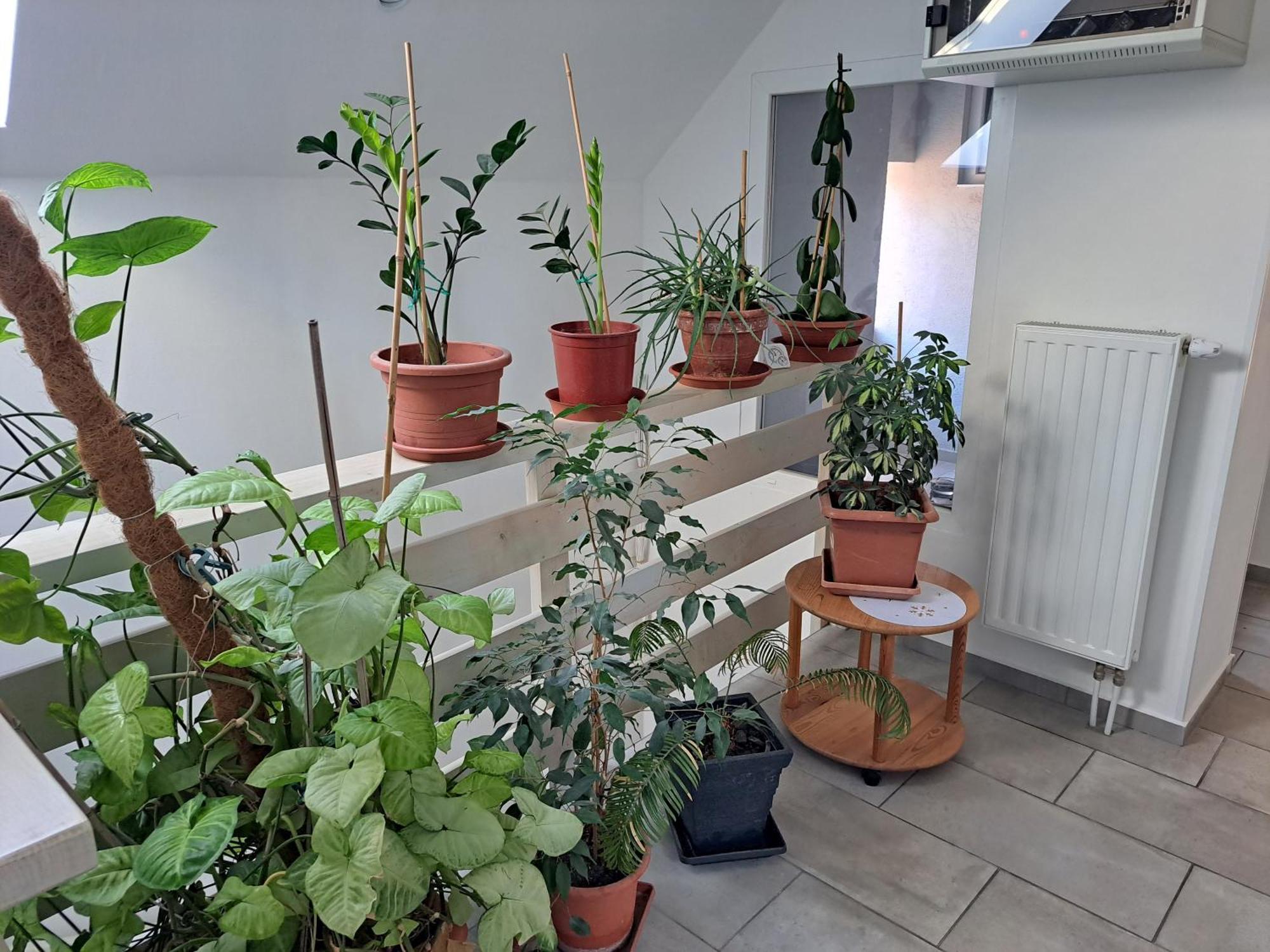 Apartmany Amalia Πιεστάνυ Εξωτερικό φωτογραφία